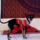 enero 2011